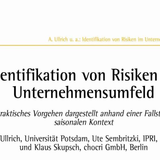 Risk Identification in Business Environments